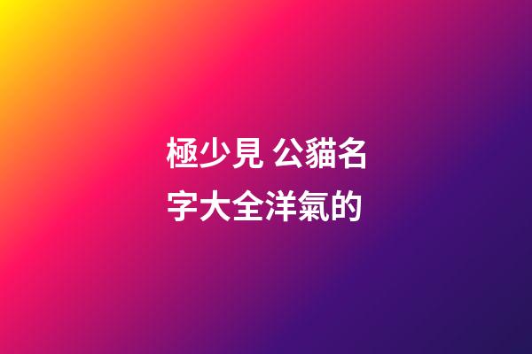 極少見 公貓名字大全洋氣的